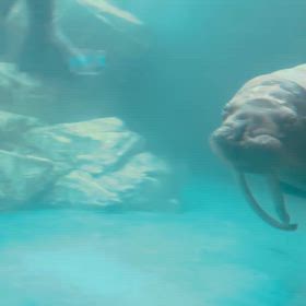 一枚　シリーズの画像