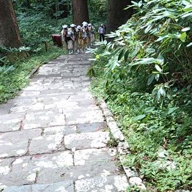 動画を撮ってみました。の画像