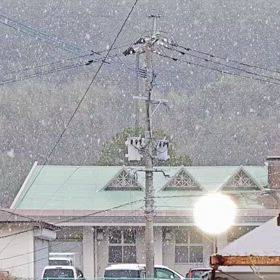 気まぐれ日記ひとりごとの画像