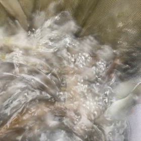 釣れない、、からの爆！！の画像