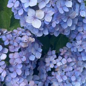 いい陽気の画像