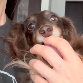 《お知らせ》の画像