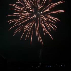 今日はサツマイモのツル植えの画像