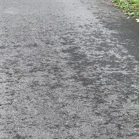 自分が『じぶん』らしくいられる場所の画像