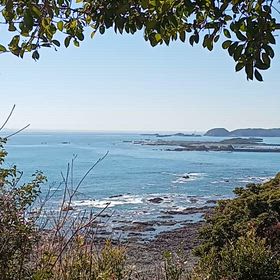 春分のネタすごいですね〜大きな変化は自分にウソがつけなくなるから〜の画像