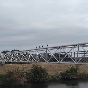 今日の一本の画像