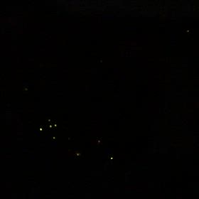 こんな感じですの画像