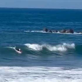 今日の台風ウネリの画像