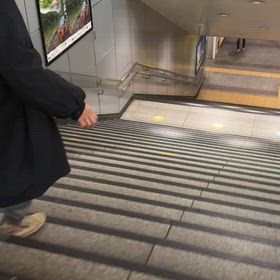 ダントツでの画像