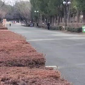 2/17 リレー選考会⑨の画像