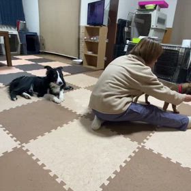 身体と頭の遊び　コーン周りの画像