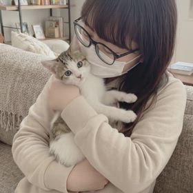 3月27日の猫動画の画像