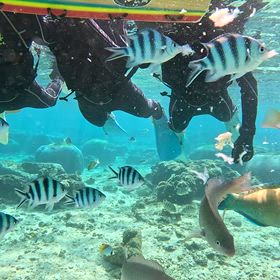 沖縄初日はシュノーケルの画像