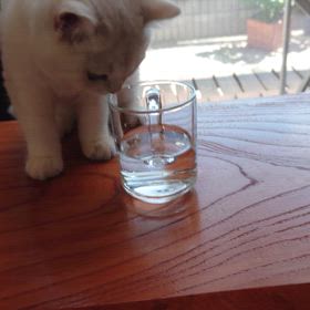 冷た〰️いの画像