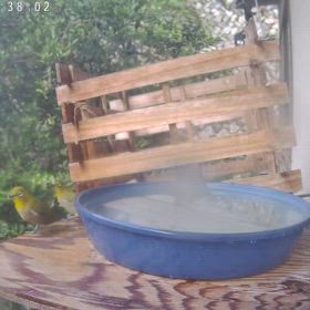 すぎぴたんの事件簿シーズン3　575話（まさに、目白押し！　スパ！）の画像