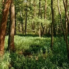 kin 190のエネルギーの画像