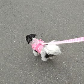 揺れ動く心の画像