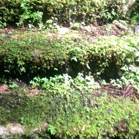 KIN96   黄色い戦士　黄色い人　音5の画像