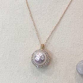 新商品！アコヤ天女！！の画像