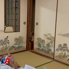 マロさん心配中の画像