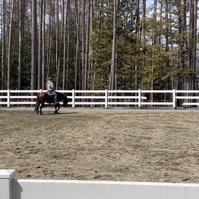 リラ、5月末のウェスタン大会を目指して・・・の画像