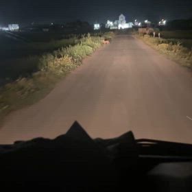 キツネの寝ぐらの画像