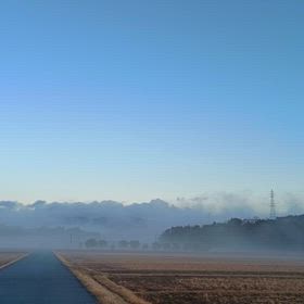 人間は人間の画像