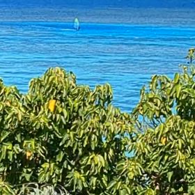 Ishigaki Islandの画像