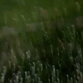 部活動説明会。の画像