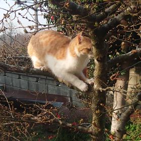 まぶたが痙攣の画像