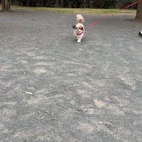 やっとやっとやっと！！の画像