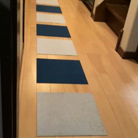 チャコの日課の画像