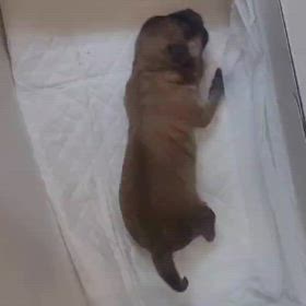 2024.12.30日に…！の画像