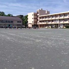 6/28学年別インターバル④の画像