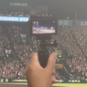 阪神タイガース優勝についての画像