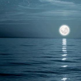 kin63のエネルギーの画像