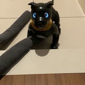 結局助けてしまうの画像