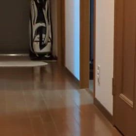 １１月２７日(木）の画像