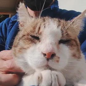 昨日のおまけ動画。の画像