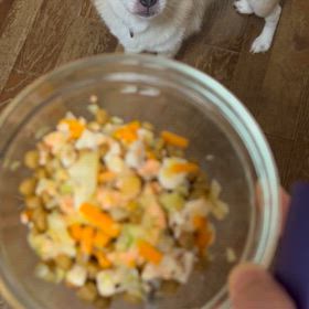 そしてドックフードに混ぜるの画像