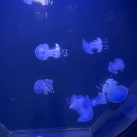 食い物が　ね〜の画像