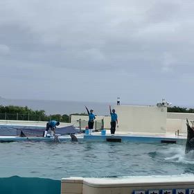 海洋博物館　おきちゃんの画像