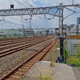 2024/08/21の画像
