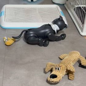 それぞれの尻尾の画像