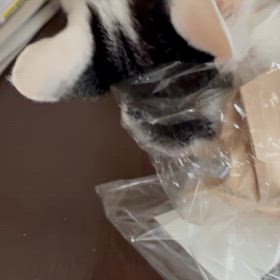 スイーツ男子の画像