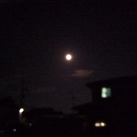 十五夜の画像