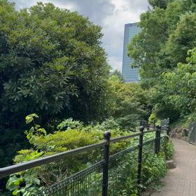 気を失うの画像