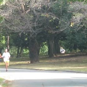 県駅伝選考会（10/27）⑤の画像