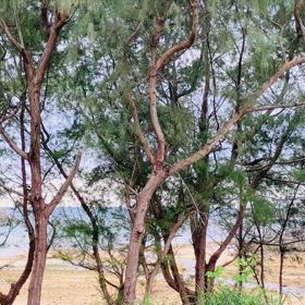 行動した全ての経験を通して成長できた日々の画像