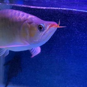 ★業務連絡！★の画像